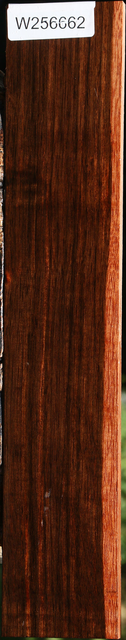 Amara Ebony Micro Lumber