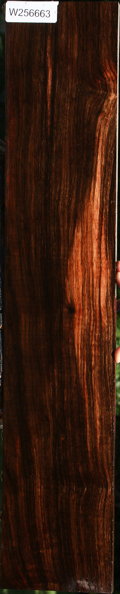 Figured Amara Ebony Lumber