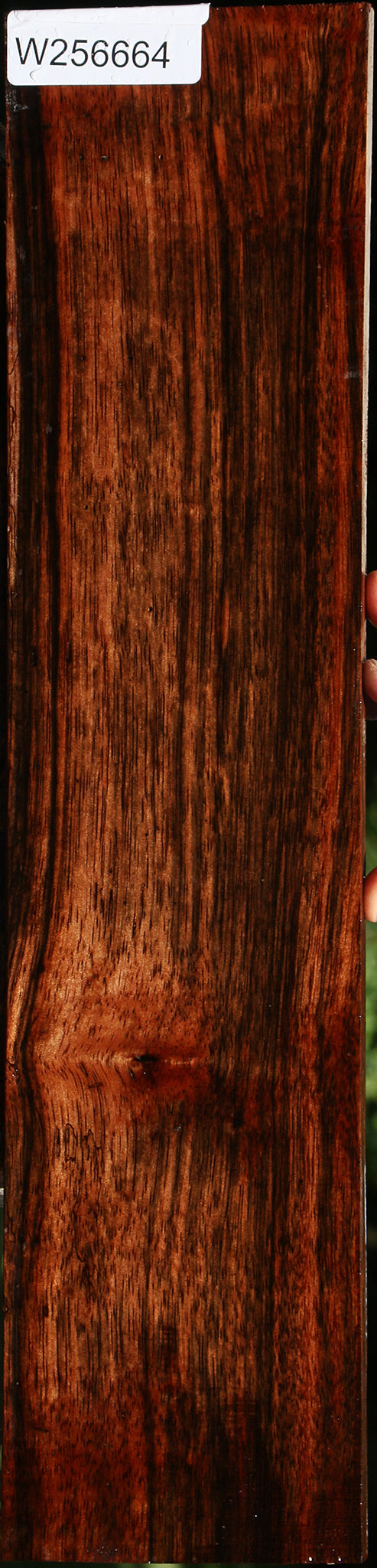 Amara Ebony Lumber