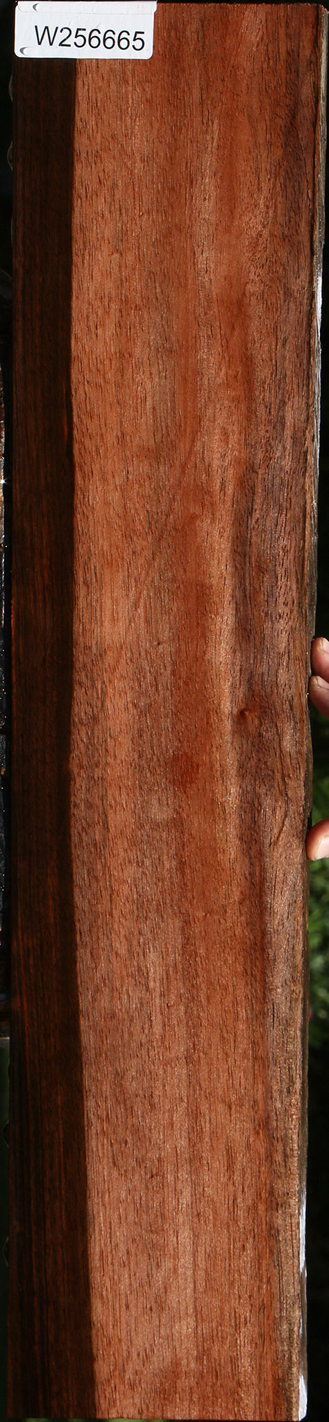 Amara Ebony Lumber