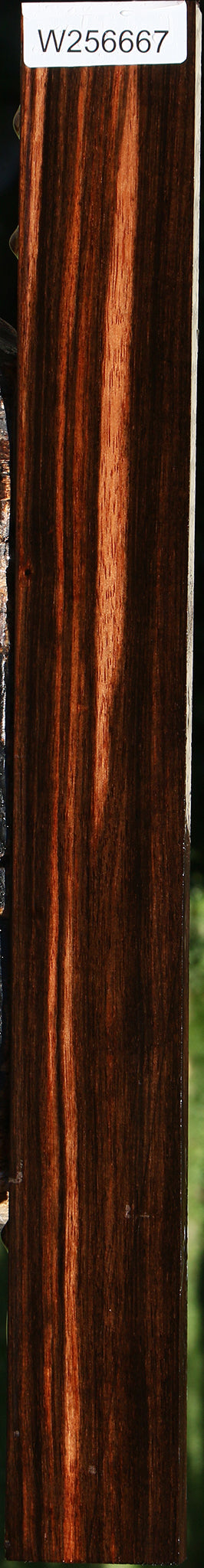 Figured Amara Ebony Lumber