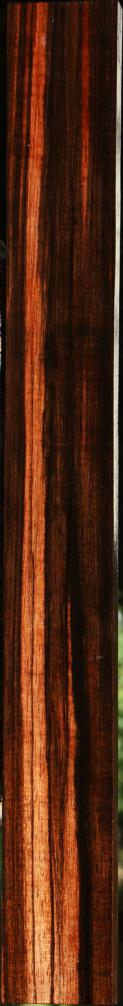 Figured Amara Ebony Lumber