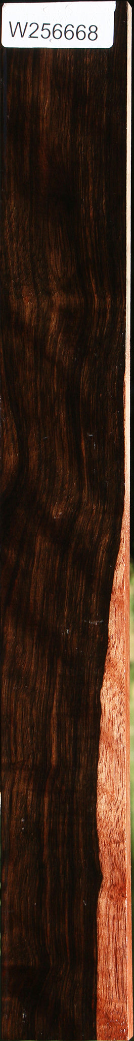 Figured Amara Ebony Lumber