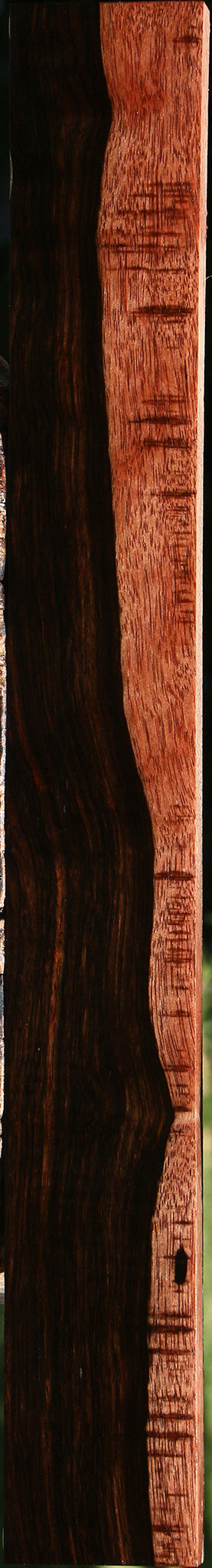 Figured Amara Ebony Lumber