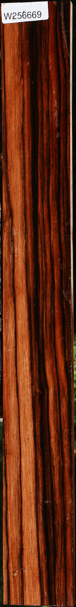 Extra Fancy Amara Ebony Lumber