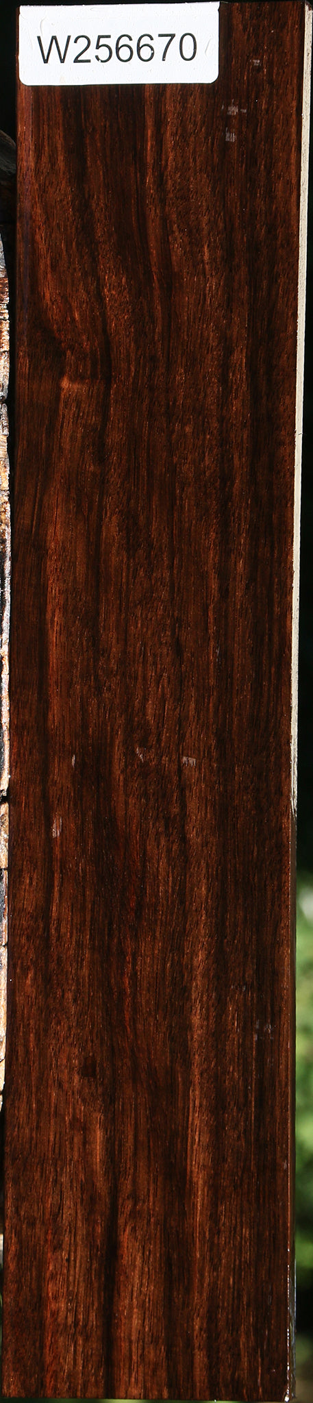 Amara Ebony Lumber