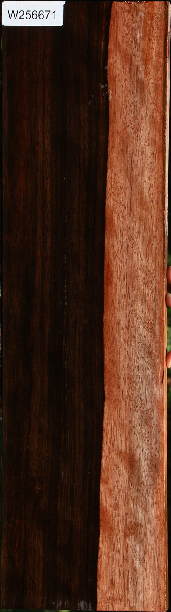 Figured Amara Ebony Lumber