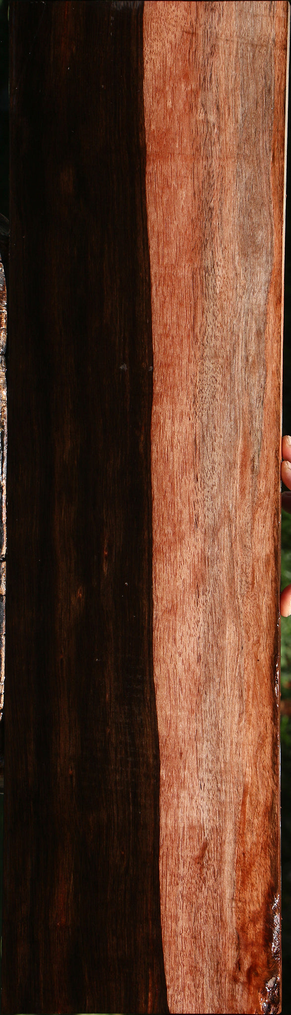 Figured Amara Ebony Lumber