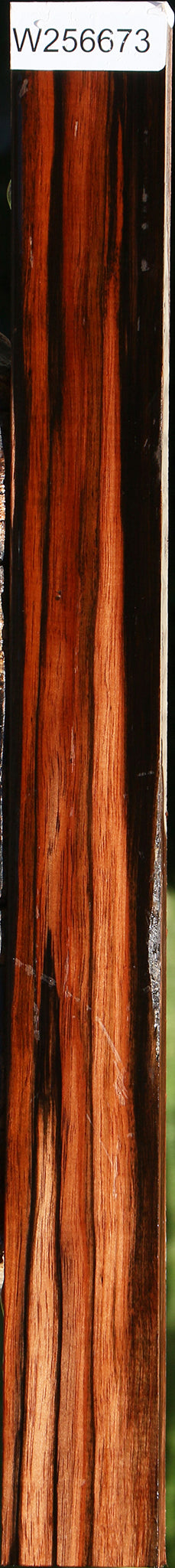 Amara Ebony Lumber