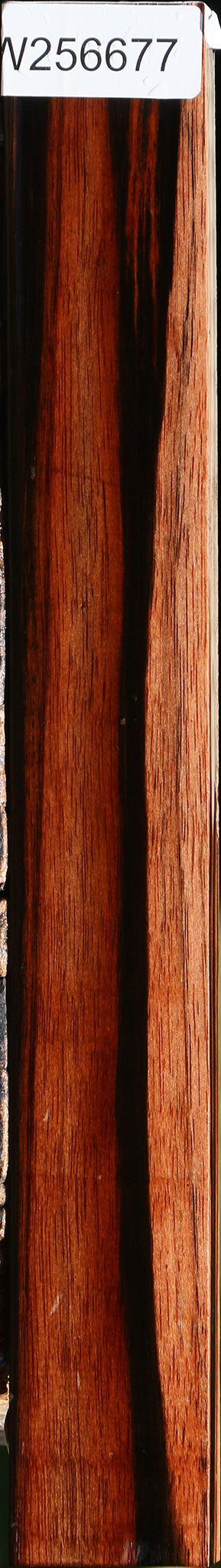 Amara Ebony Lumber