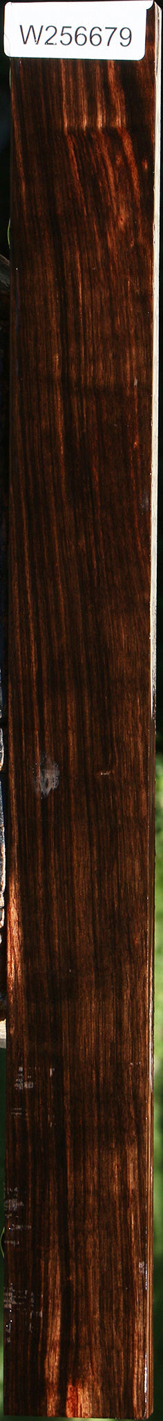 Amara Ebony Lumber