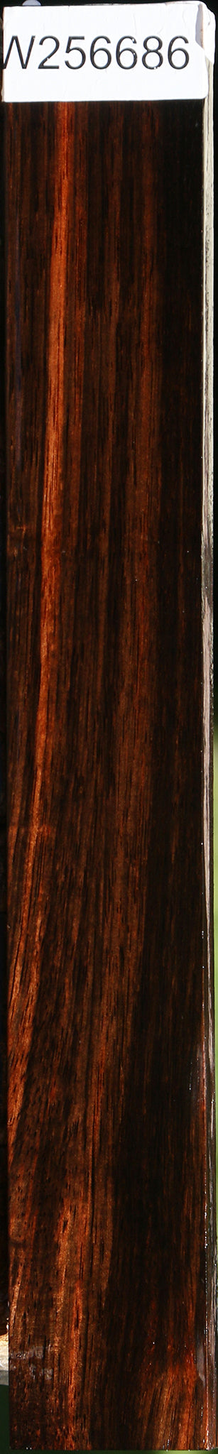 Amara Ebony Lumber