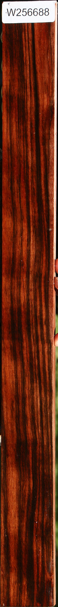 Figured Amara Ebony Lumber