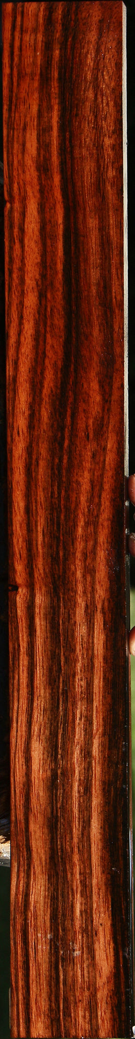 Figured Amara Ebony Lumber