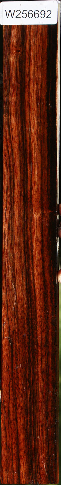 Figured Amara Ebony Lumber