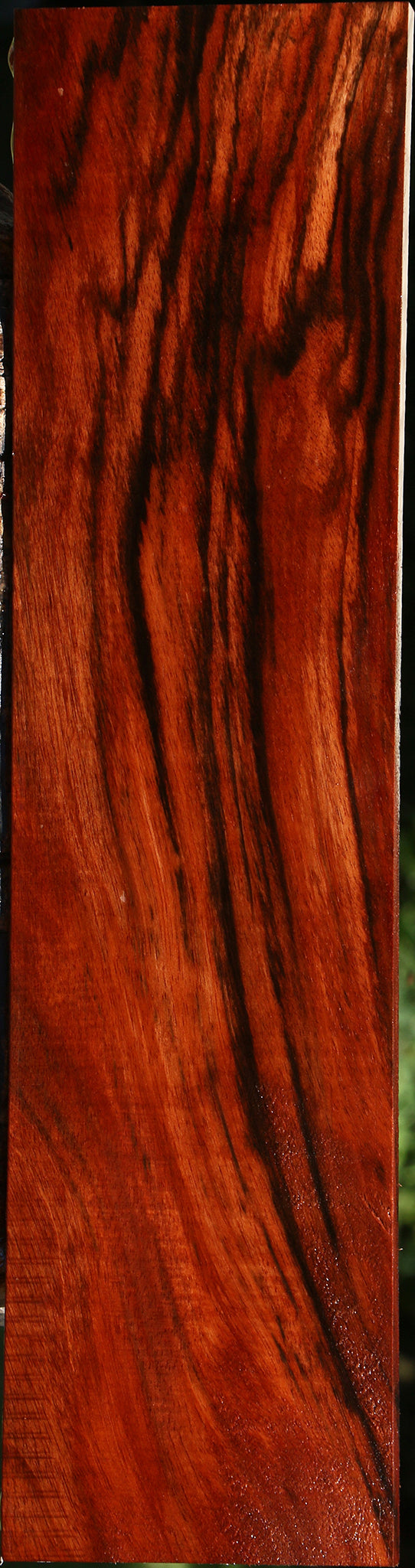 Figured Amara Ebony Lumber