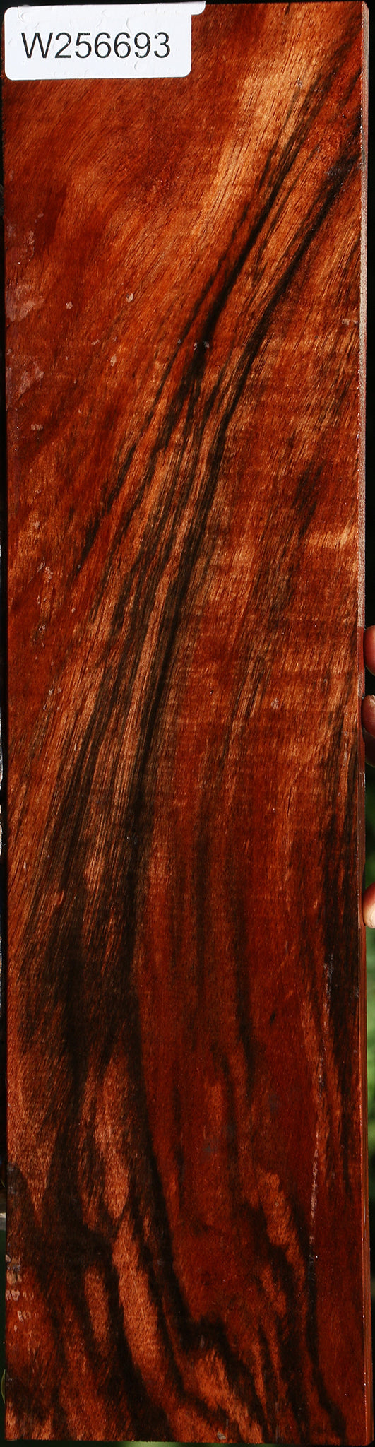 Figured Amara Ebony Lumber