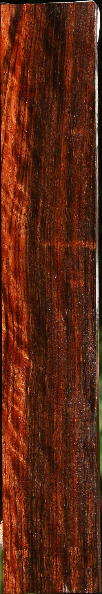 Extra Fancy Amara Ebony Lumber