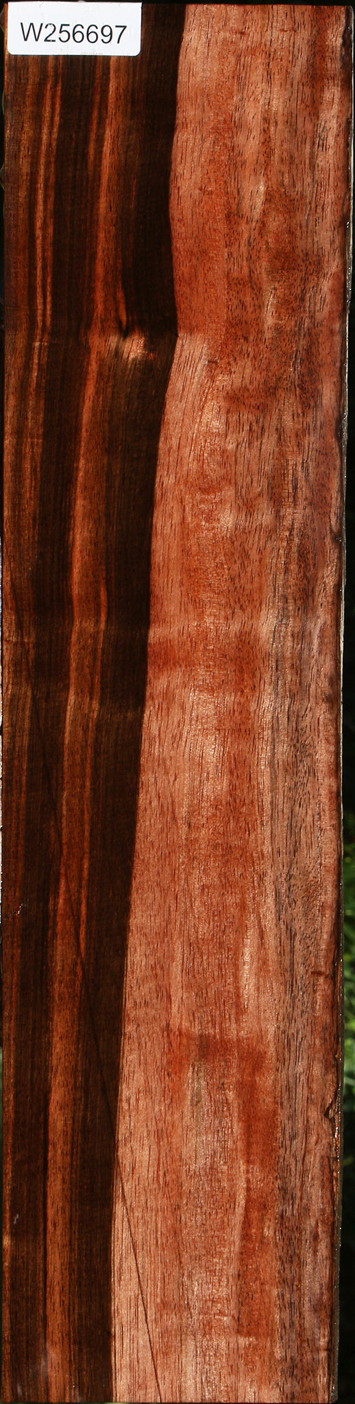 Figured Amara Ebony Lumber