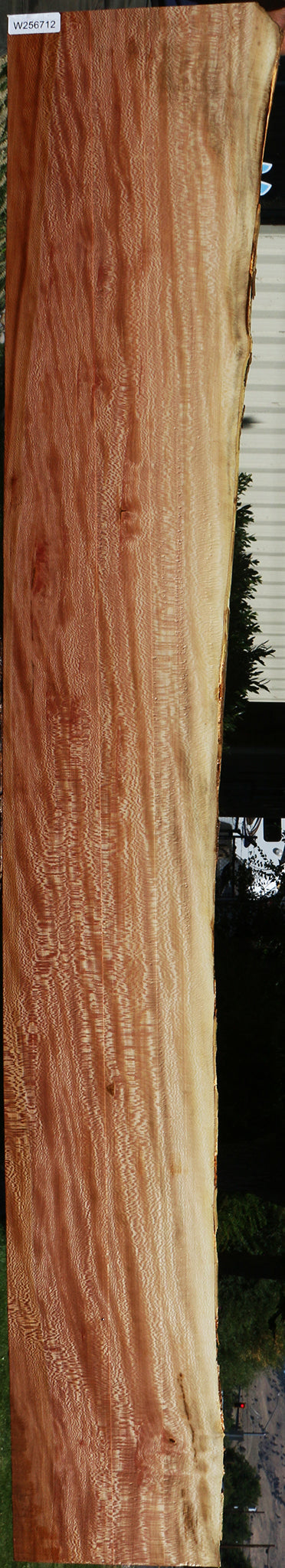 Figured Quartersawn Sycamore Live Edge Lumber