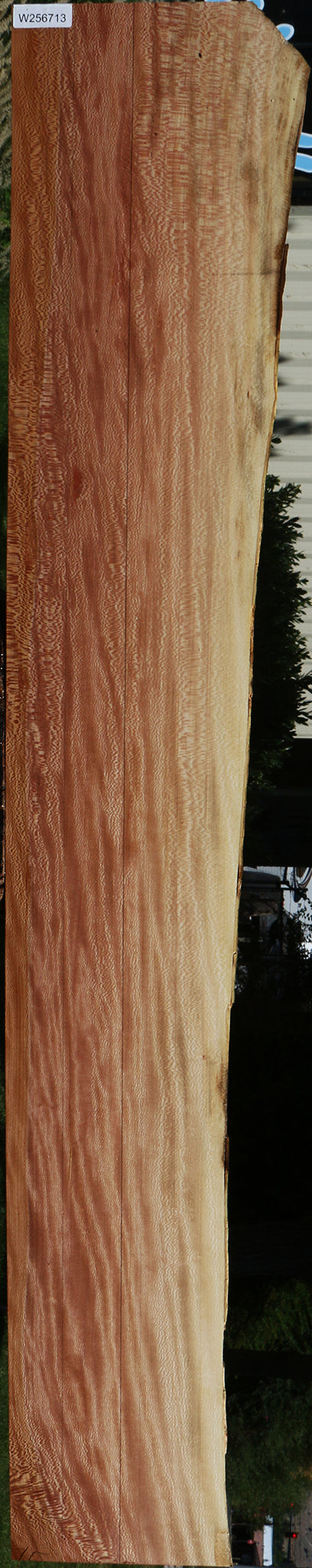 Figured Quartersawn Sycamore Live Edge Lumber