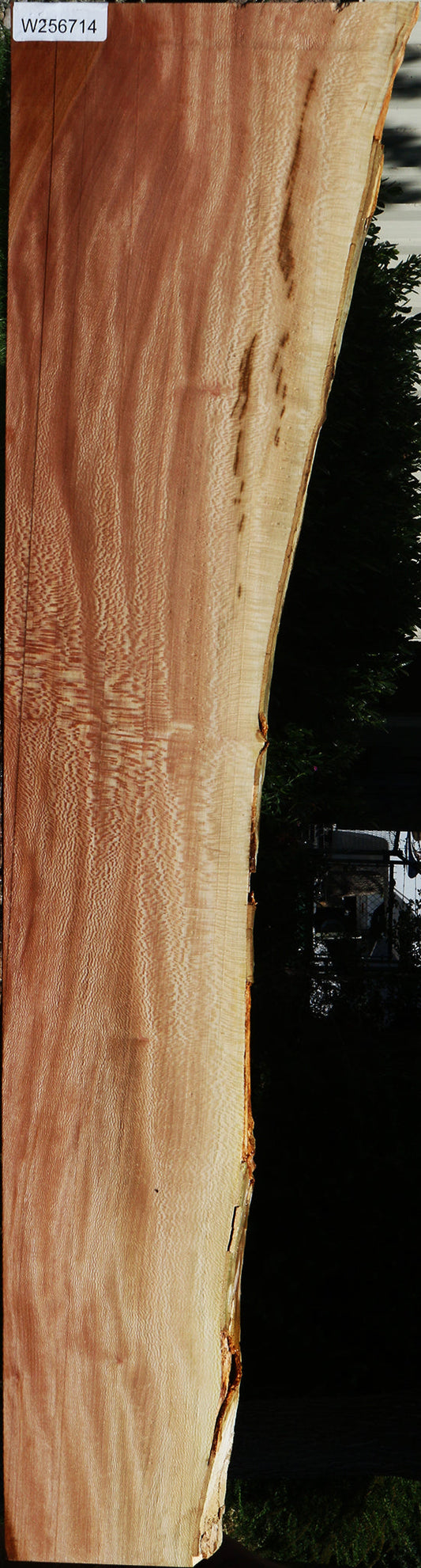 Figured Quartersawn Sycamore Live Edge Lumber