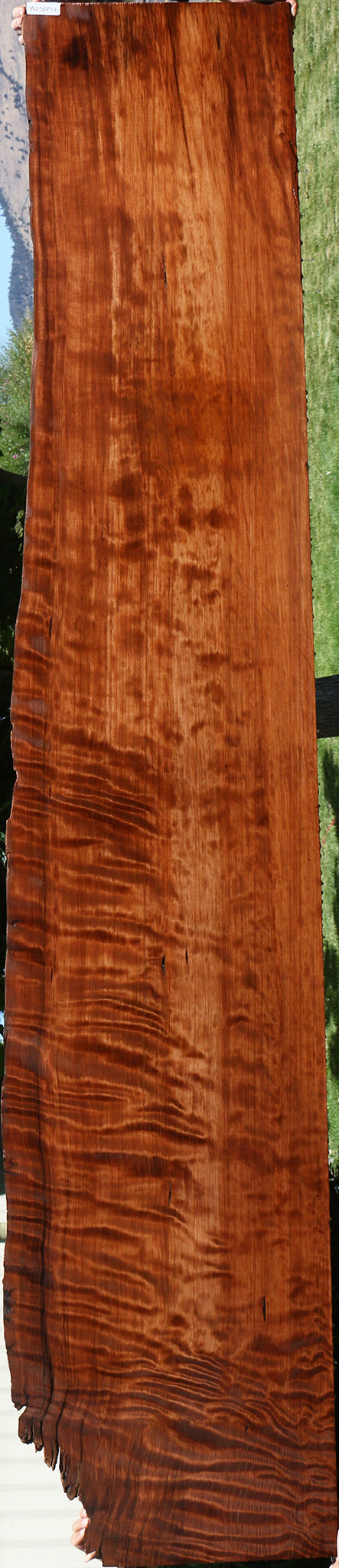 Curly Redwood Live Edge Lumber (Free Shipping Excluded)