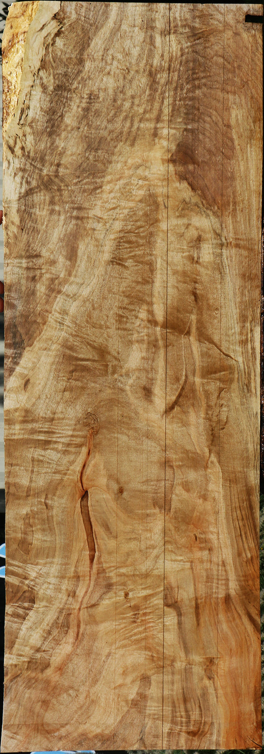 Ailanthus Live Edge Lumber