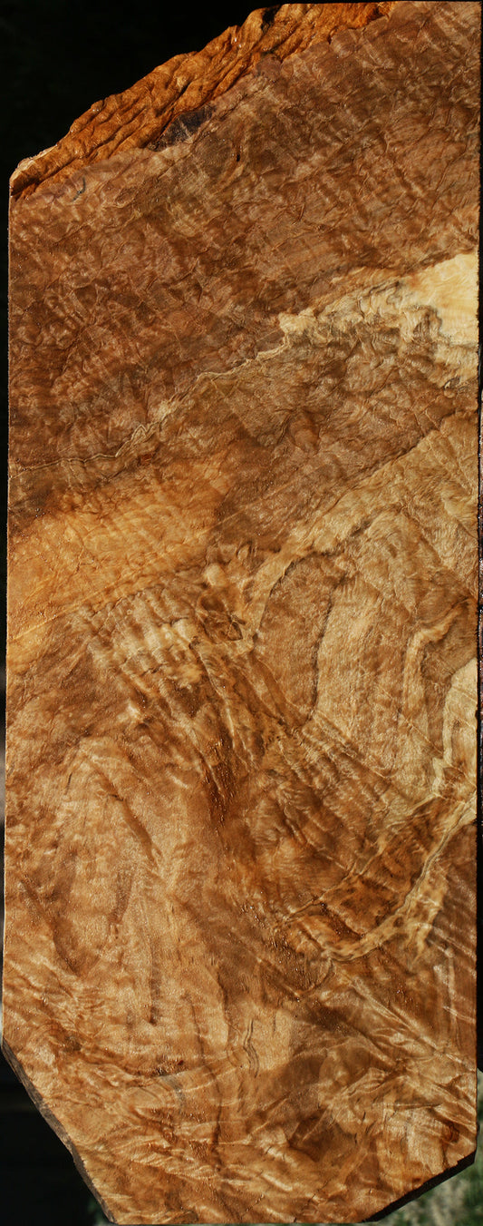 Dyer Oak Electric Guitar Drop Top Billet