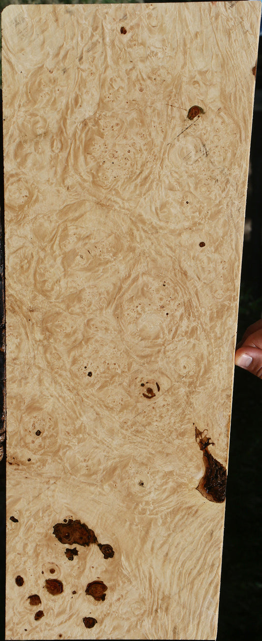 Maple Burl Instrument Lumber