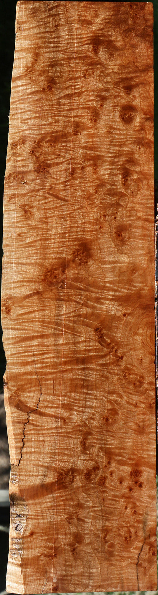 Maple Burl Live Edge Lumber