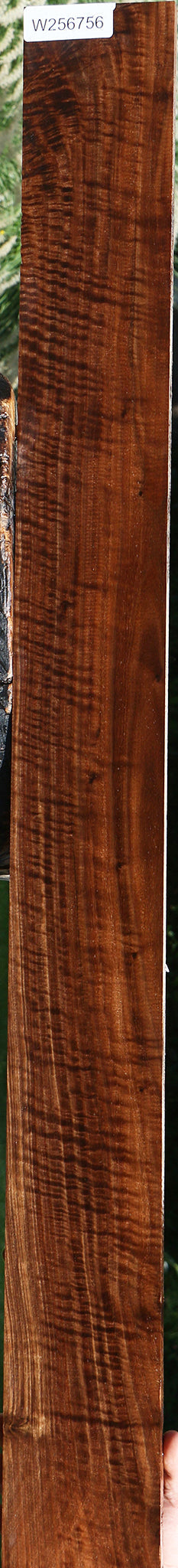 Extra Fancy Claro Walnut Lumber