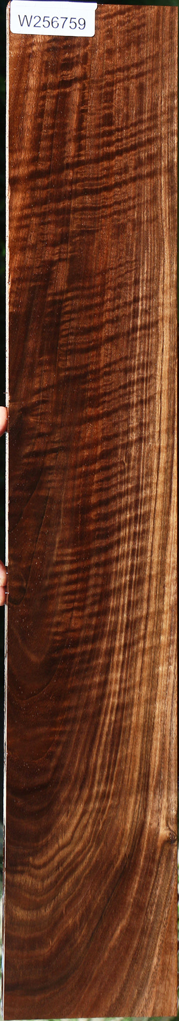 Extra Fancy Claro Walnut Lumber
