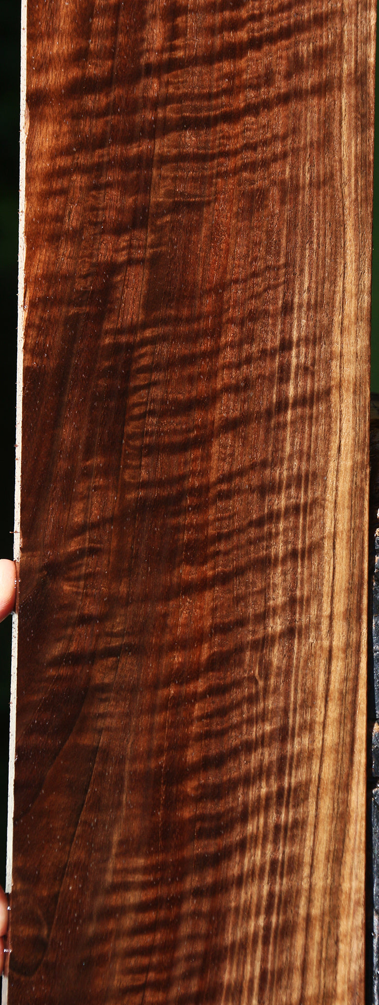 Extra Fancy Claro Walnut Lumber