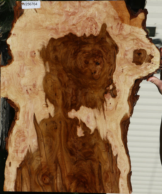 Brazilian Hickory Live Edge Lumber