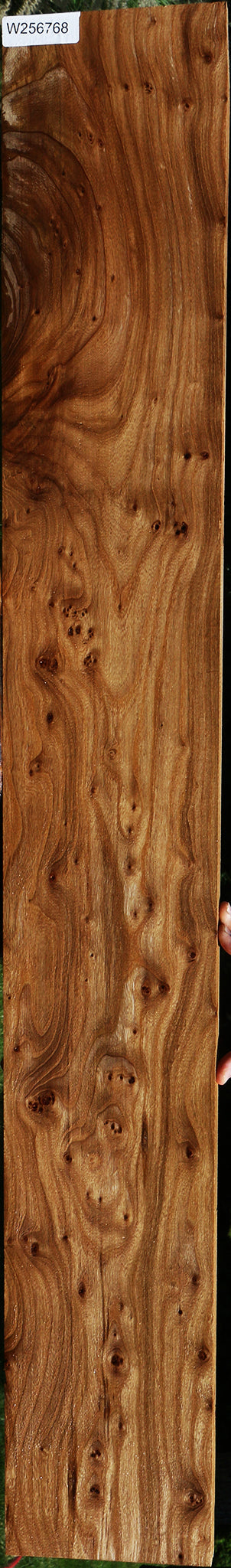 Figured Pippy Elm Lumber
