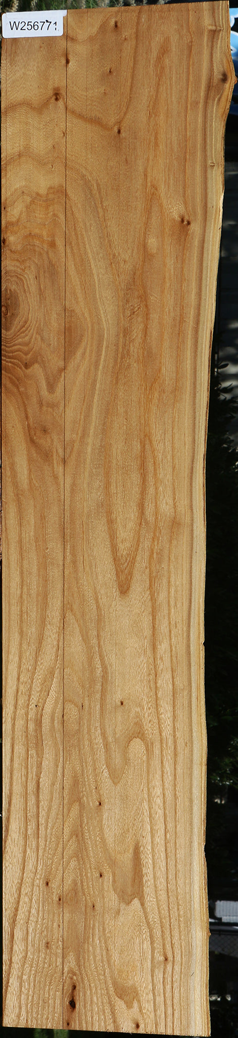 Elm Live Edge Lumber