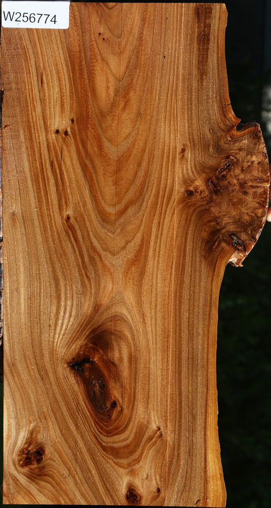 Elm Live Edge Lumber