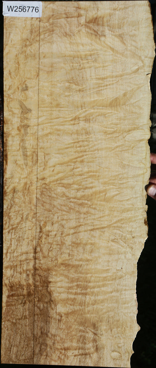 Ailanthus Live Edge Lumber