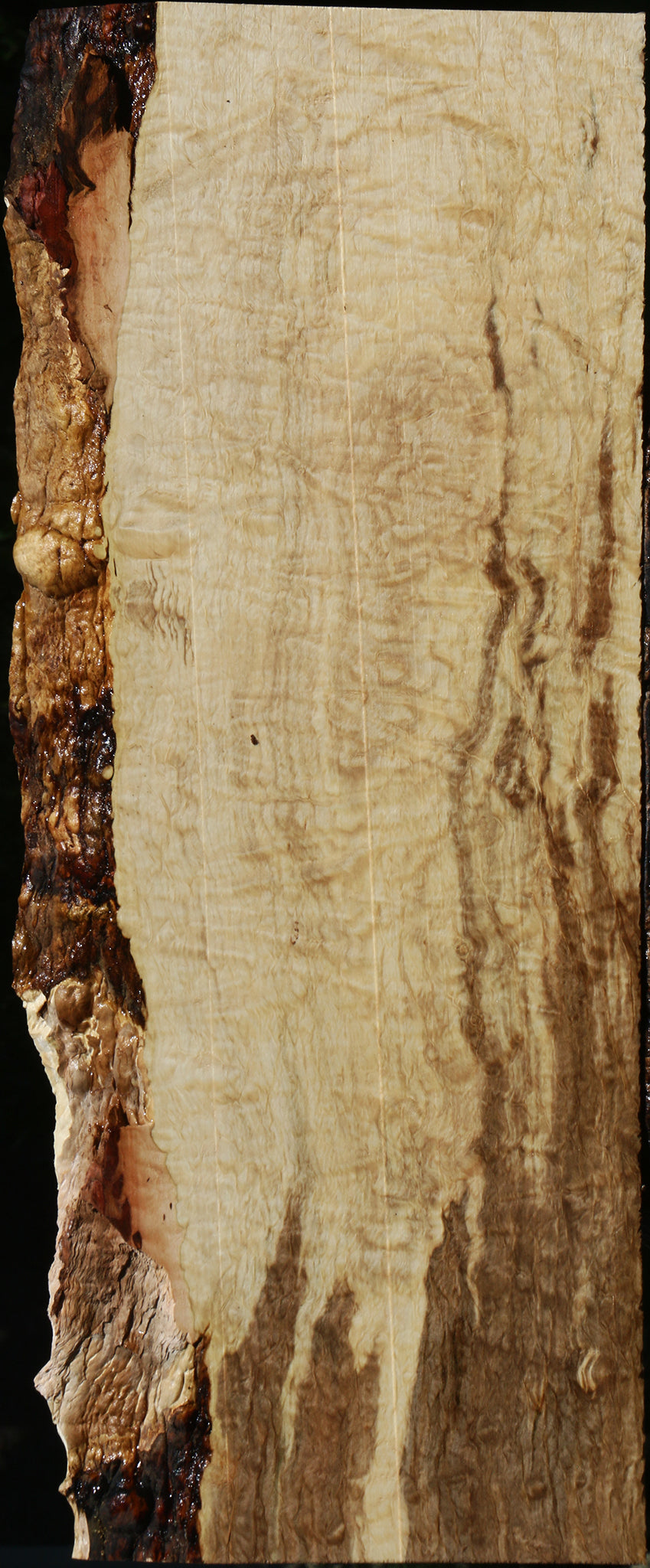 Ailanthus Live Edge Lumber