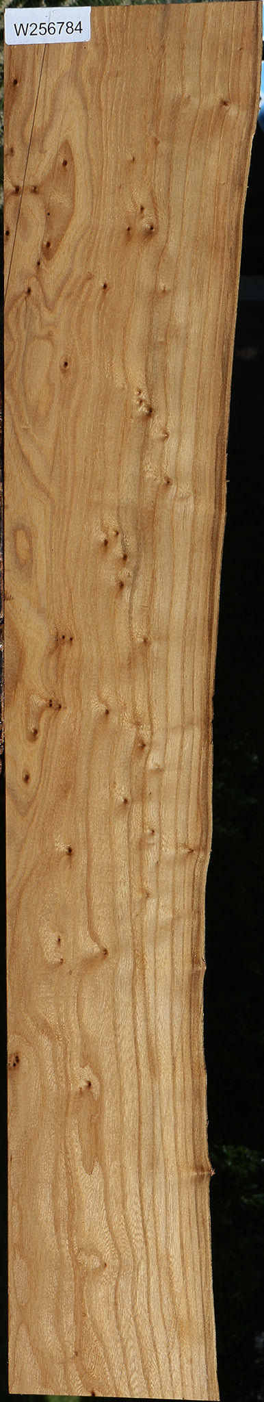 Figured Pippy Elm Live Edge Lumber