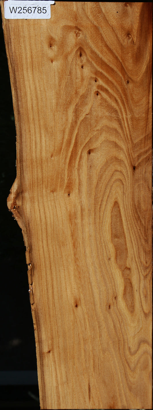 Figured Pippy Elm Live Edge Lumber