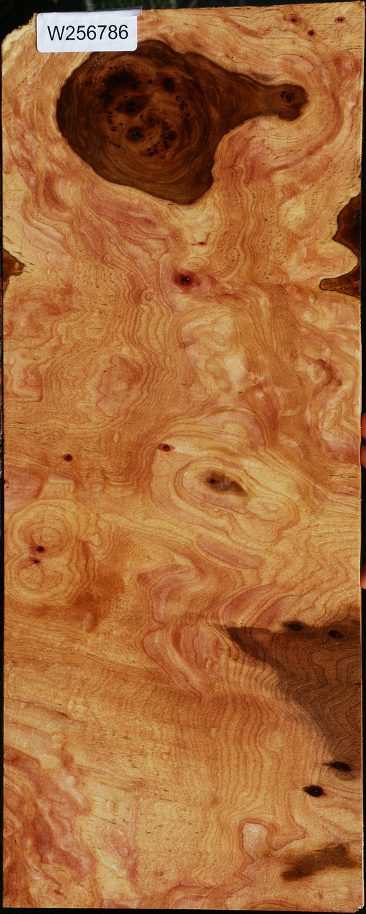 Rustic Brazilian Hickory Micro Lumber