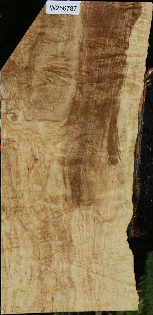 Ailanthus Live Edge Instrument Lumber