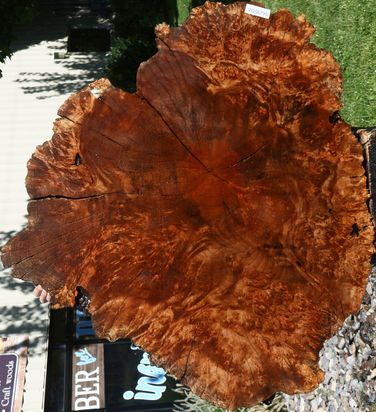 Rustic Maple Burl Cookie (Free Shipping Excluded)