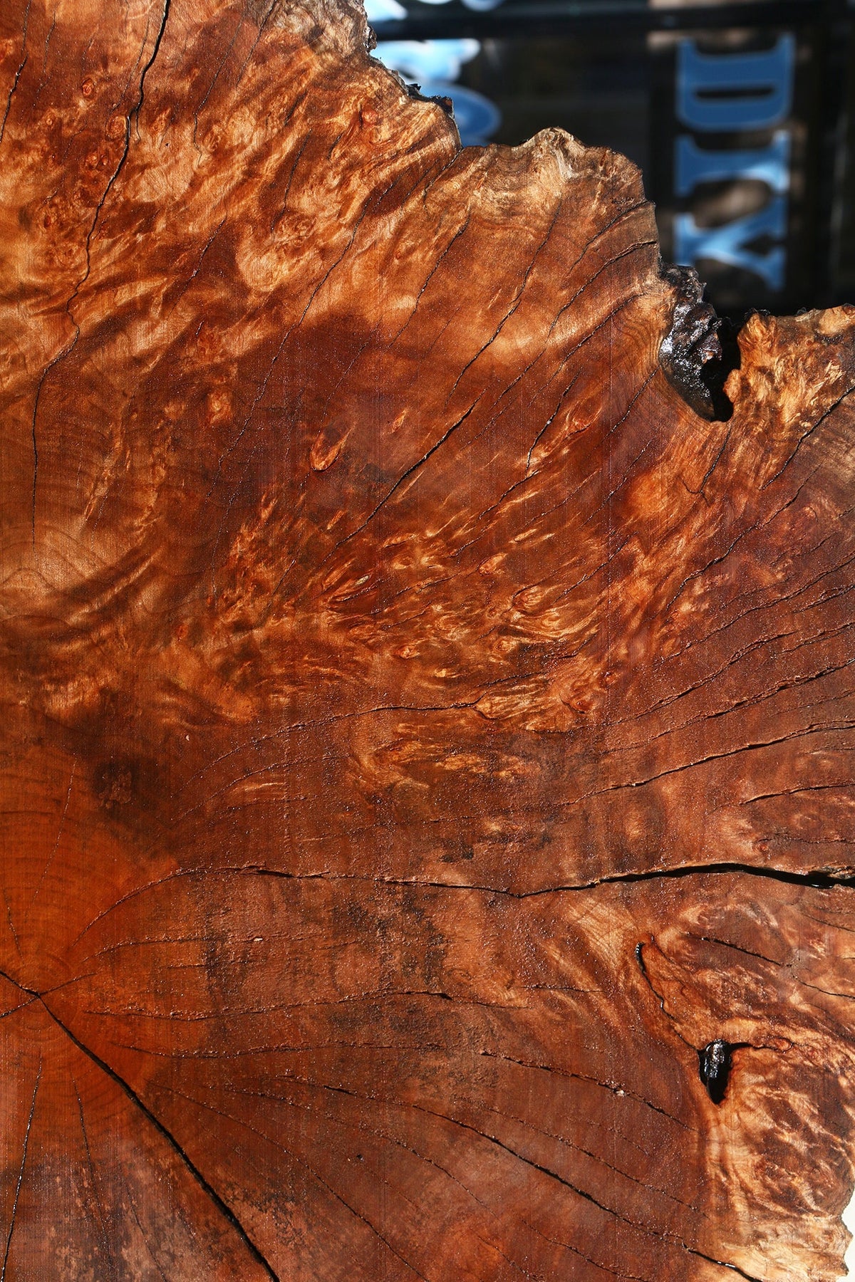 Rustic Maple Burl Cookie (Free Shipping Excluded)