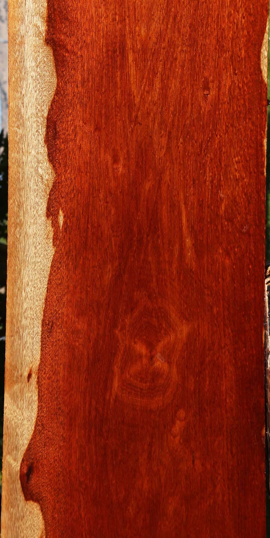 Extra Fancy Bloodwood Lumber