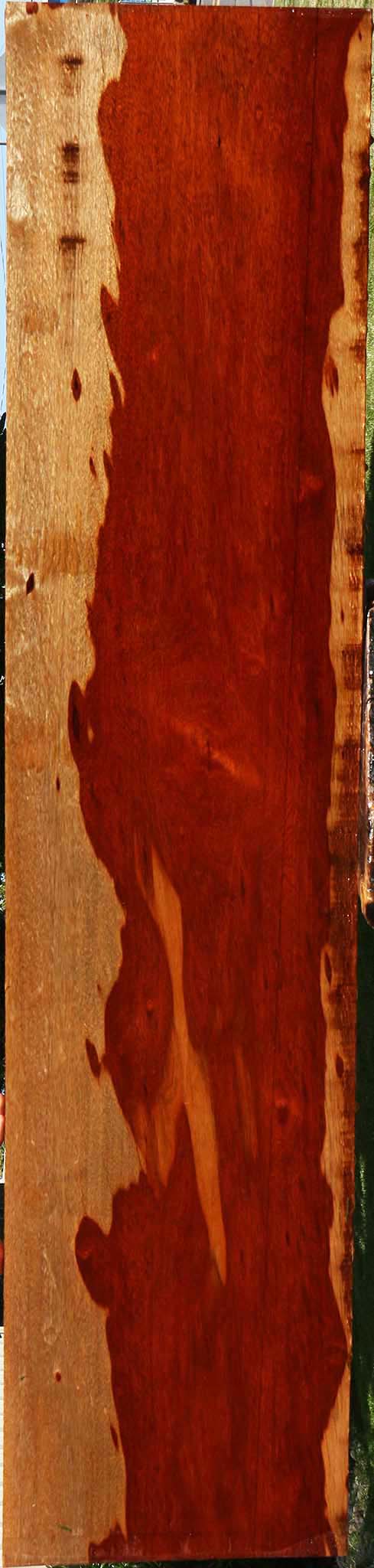 Extra Fancy Bloodwood Lumber