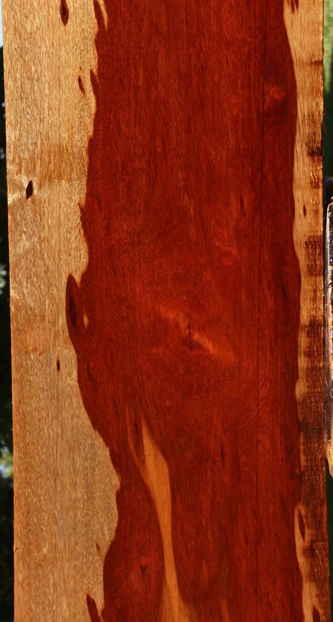 Extra Fancy Bloodwood Lumber