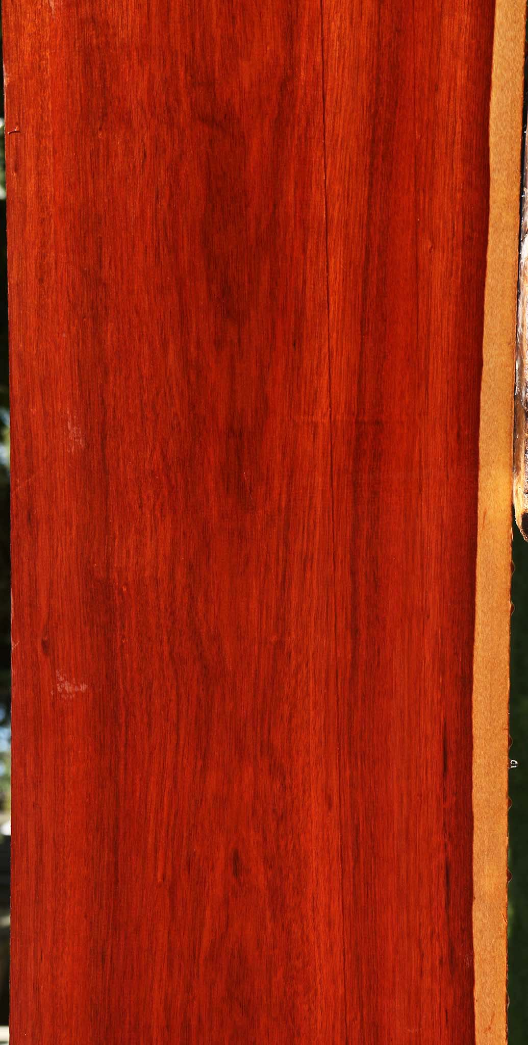 Bloodwood Lumber